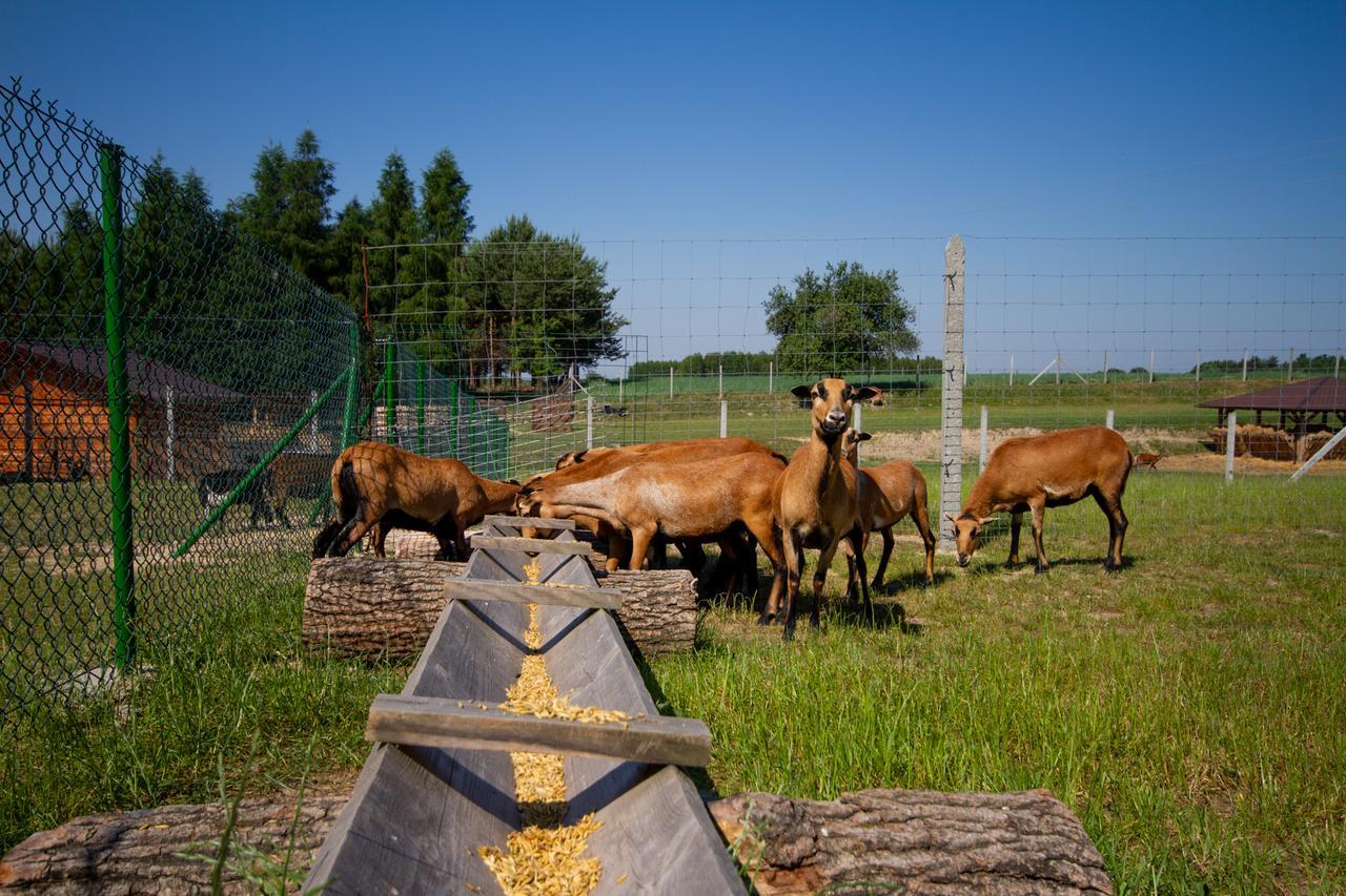 Zagroda Nad Kotelnia Pawlowa Kültér fotó