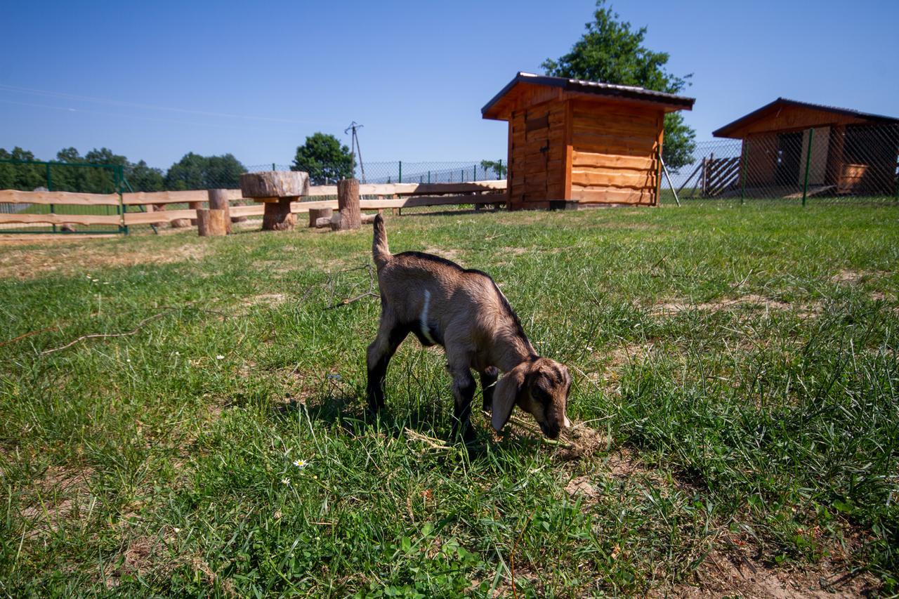 Zagroda Nad Kotelnia Pawlowa Kültér fotó