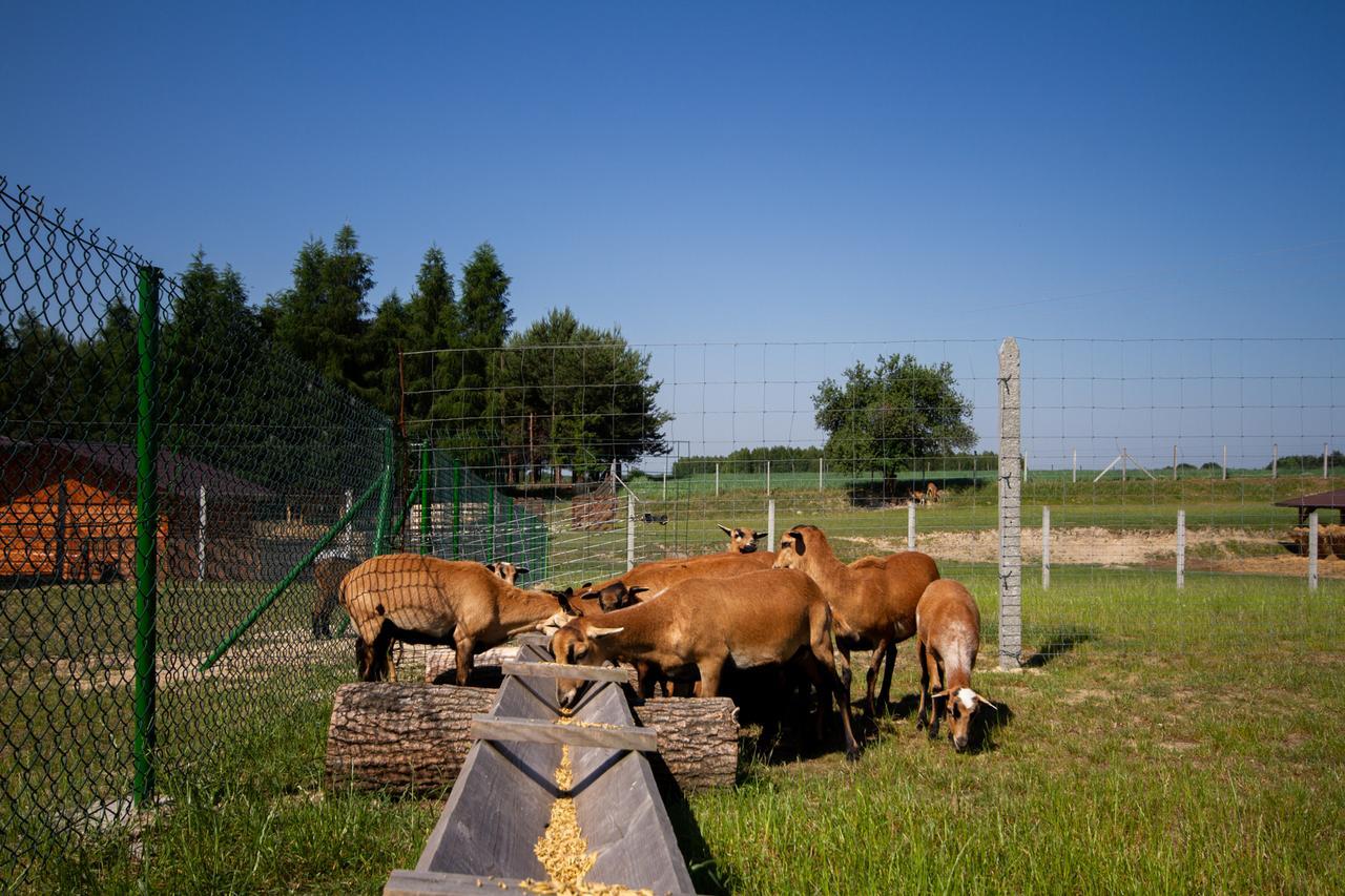 Zagroda Nad Kotelnia Pawlowa Kültér fotó