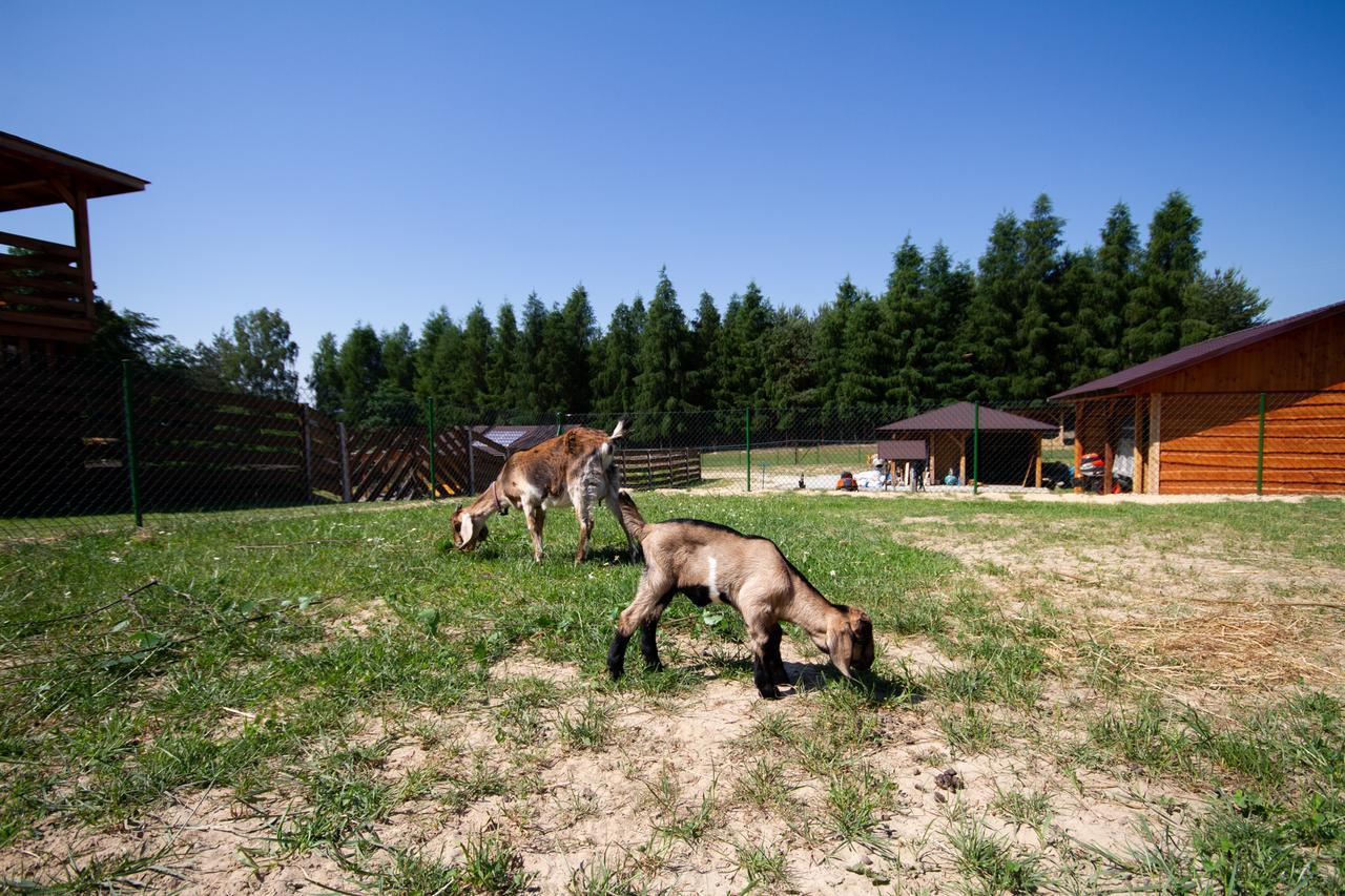 Zagroda Nad Kotelnia Pawlowa Kültér fotó