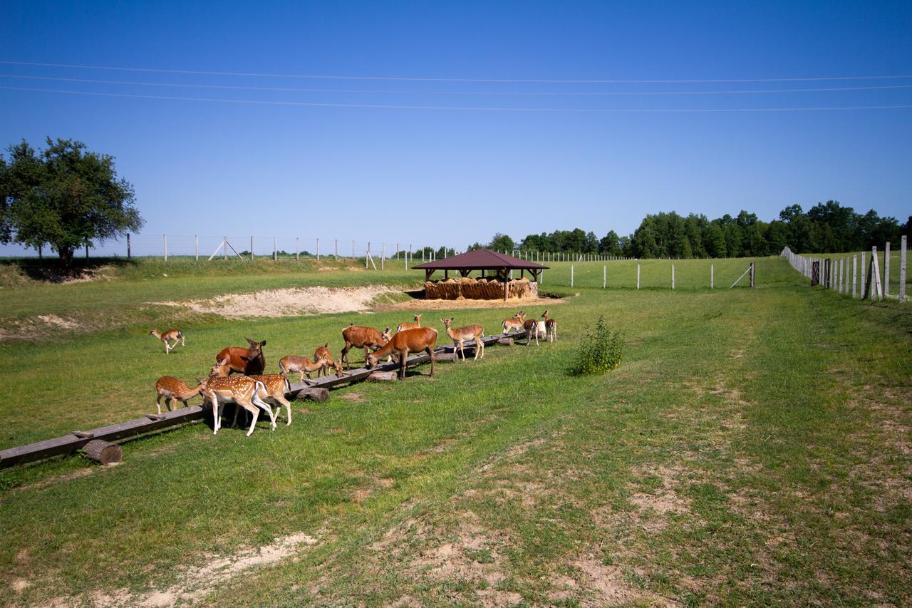 Zagroda Nad Kotelnia Pawlowa Kültér fotó