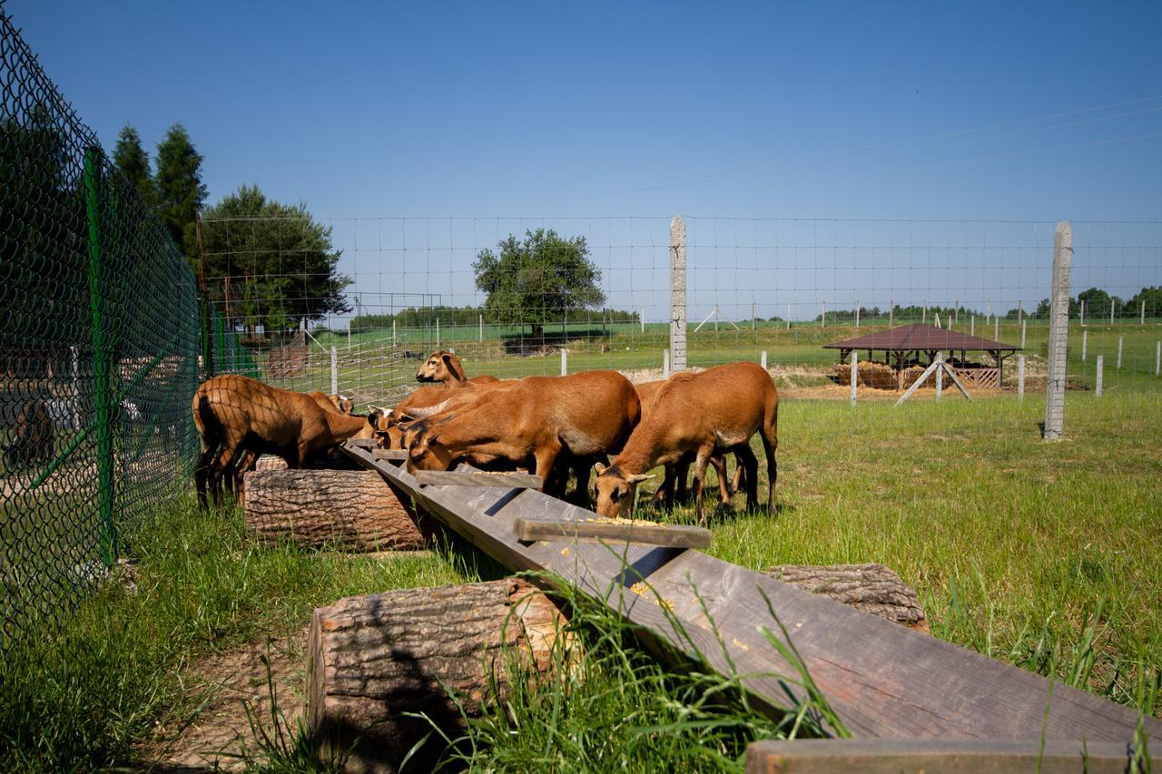 Zagroda Nad Kotelnia Pawlowa Kültér fotó
