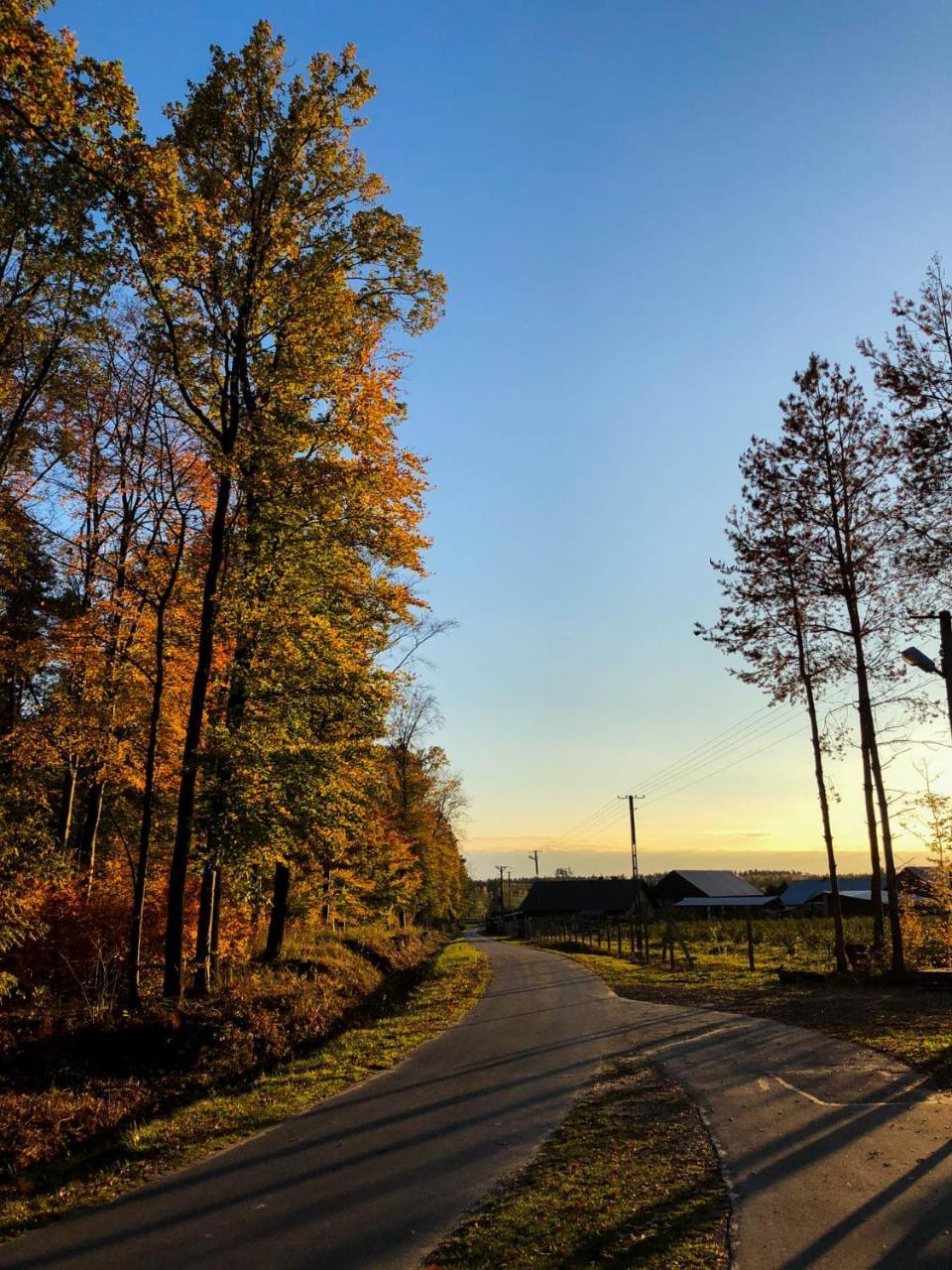 Zagroda Nad Kotelnia Pawlowa Kültér fotó